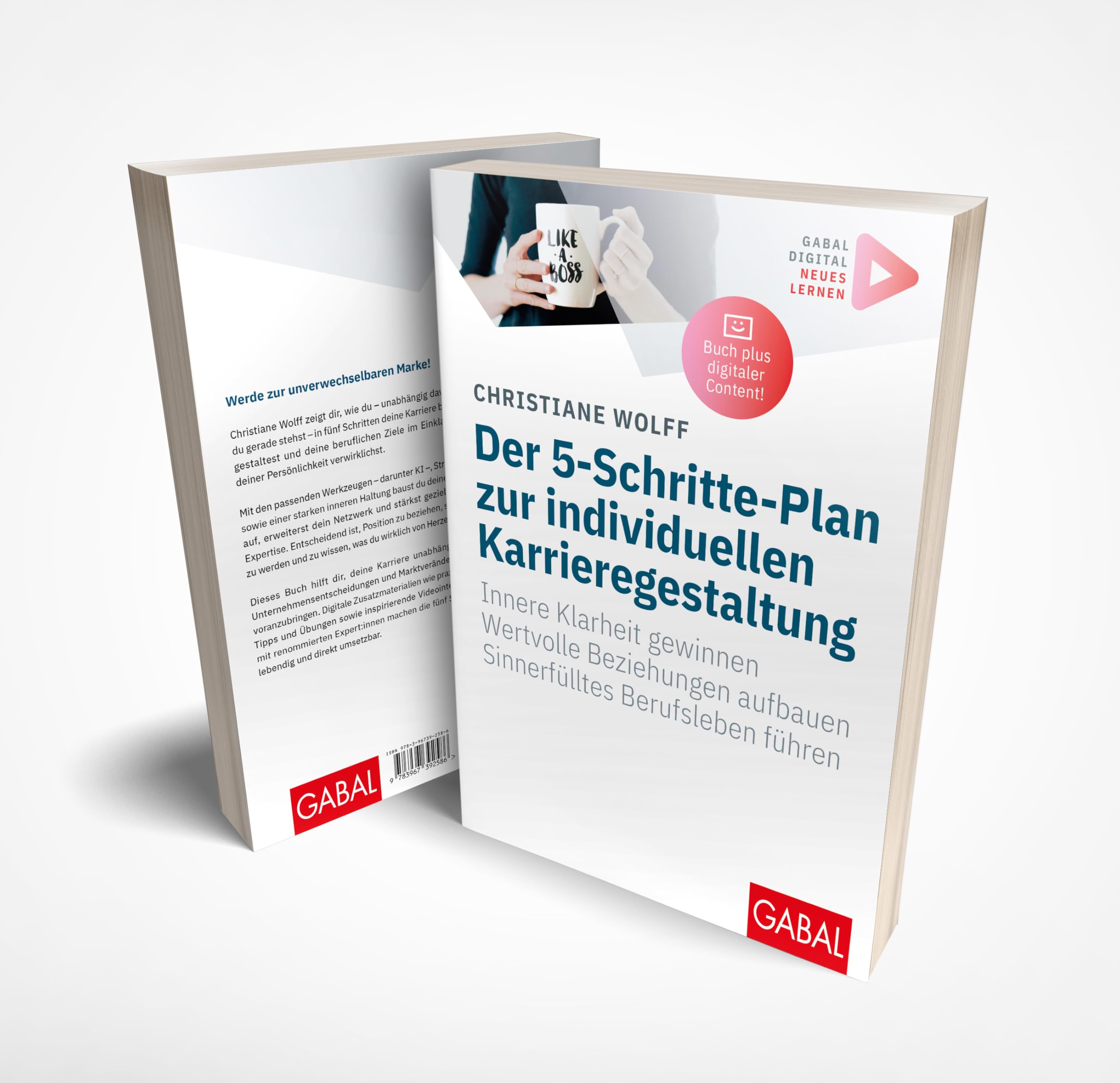 Der 5-Schritte-Plan zur individuellen Karrieregestaltung: Innere Klarheit gewinnen. Wertvolle Beziehungen aufbauen. Sinnerfülltes Berufsleben führen. ... Zusatzinhalten zum Buch (Whitebooks)