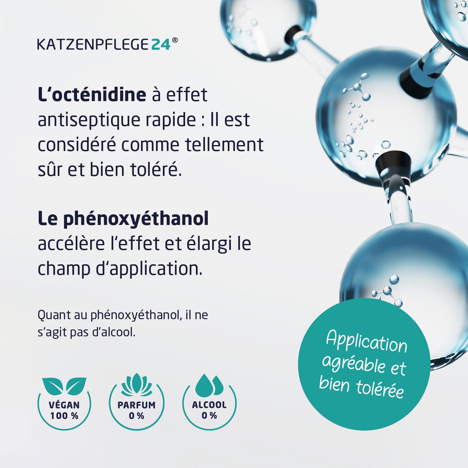Spray antiseptique et cicatrisant octénidine chat - Désinfecte, apaise, soigne & protège tout type de plaies sans piquer la peau - 125 ml avec des substances actives éprouvé