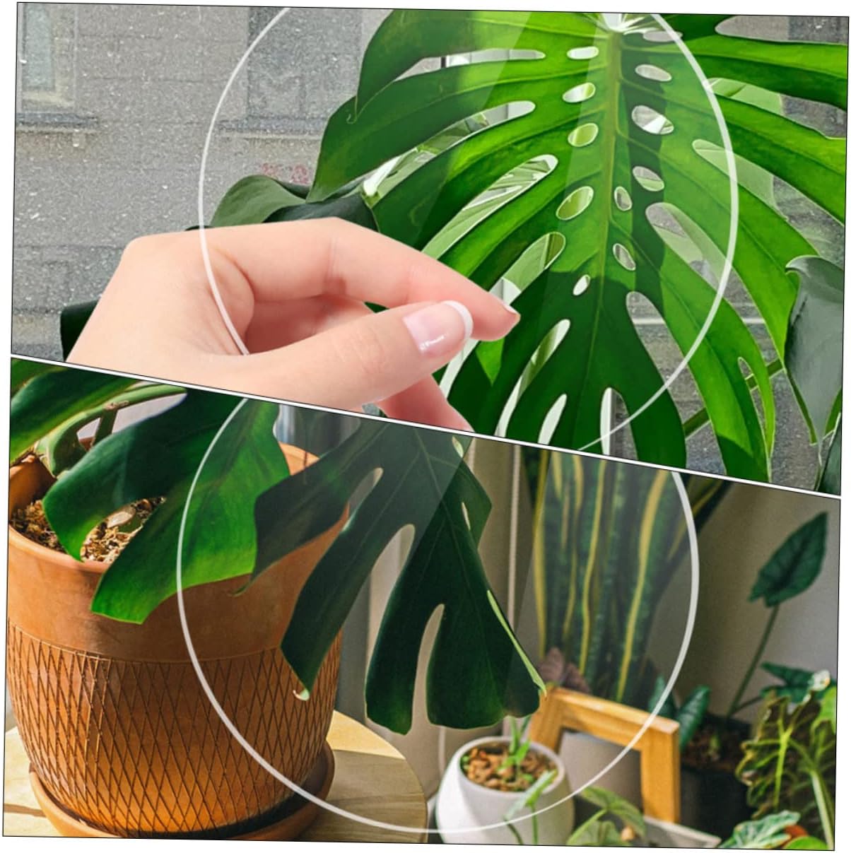 Veemoon 20pcs Transparent Round Acrylic Blanks for Projects Thick Keychain Blanks Smooth Edge Clear Acrylic Discs for Painting Crafting and Artwork