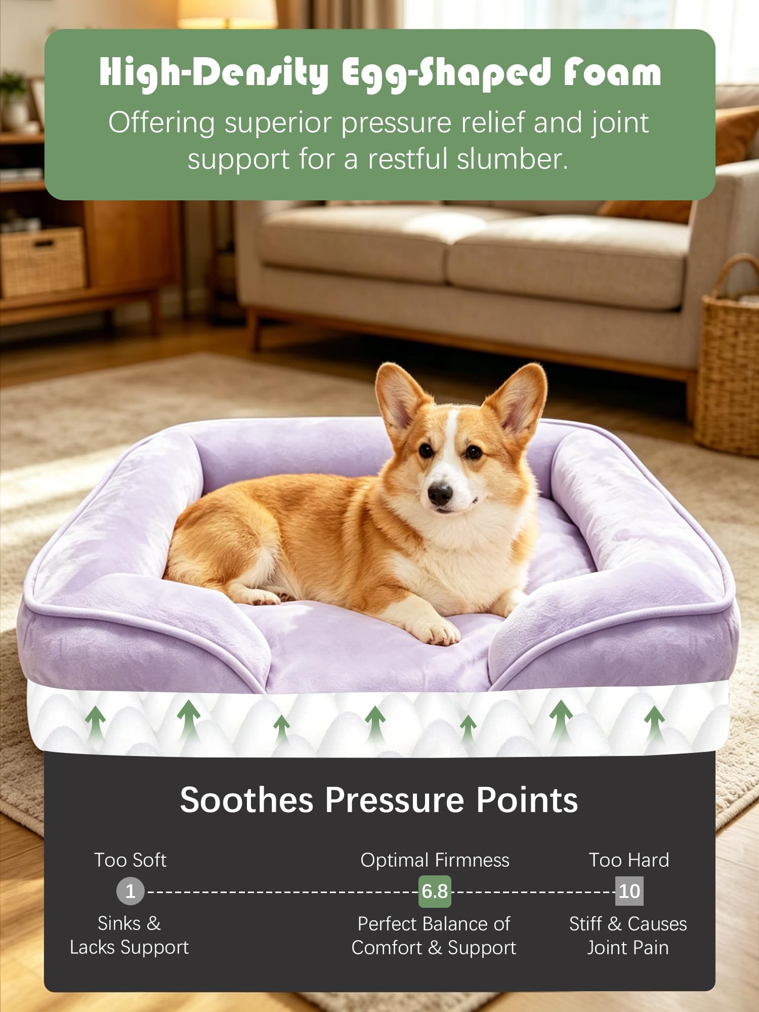Spotted Play Orthopedic Dog Bed with Sides - Sofa Beds for Medium Dogs, Supportive Foam Pet Couch Bed with Washable Removable Cover, Waterproof Lining and Non-Slip Bottom, Purple - M view 4