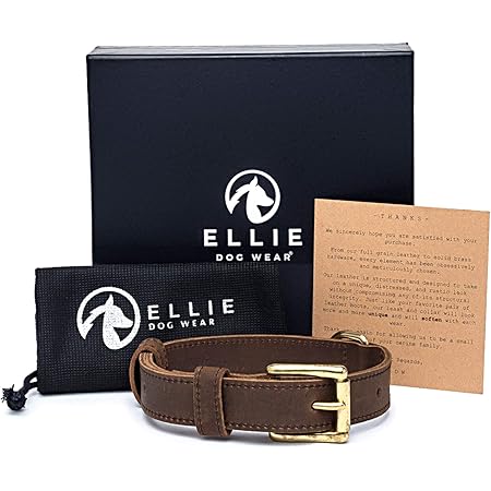 saddle leather dog collar