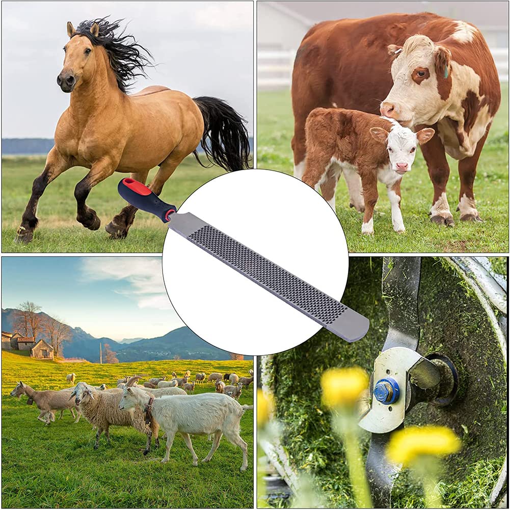 Lima de herradura, raspador profesional de pezuñas de herradura, adecuado para reparar pezuñas de caballo, pezuñas de cabra y pezuñas de vaca
