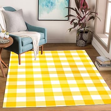 Buffalo Plaid Area Rug 2x3ft Modern Rectangular Livingroom Bedroom Diningroom Front Door Mat Washable