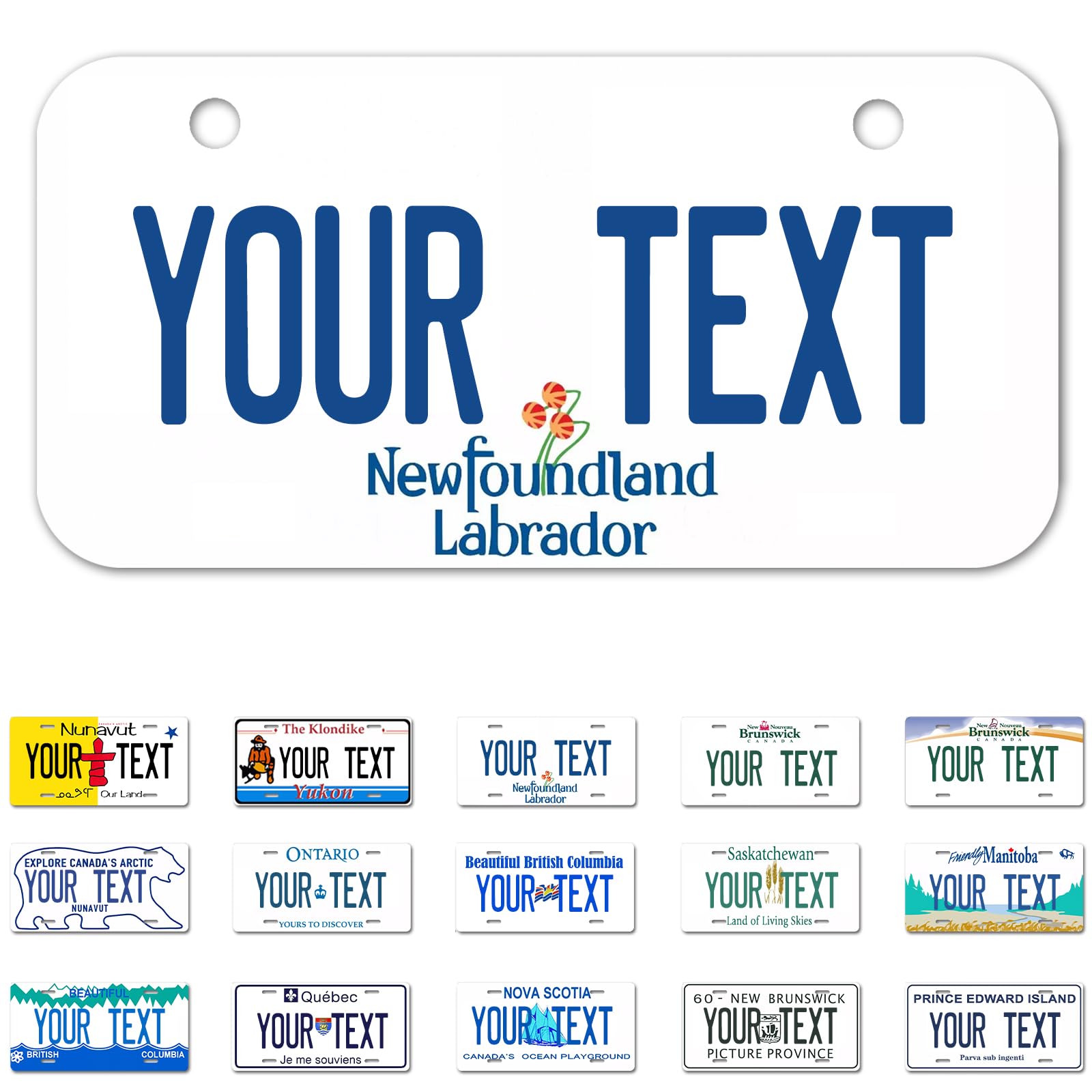 Ontario License Plate, 6"×12" Custom License Plate — view 19