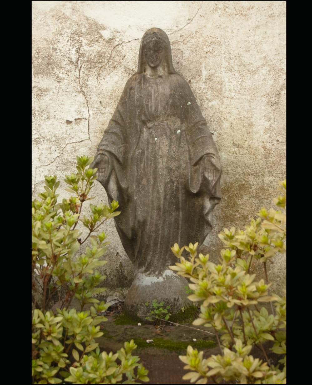 MARY THE MOTHER OF GOD: A PATH TO FIND JESUS