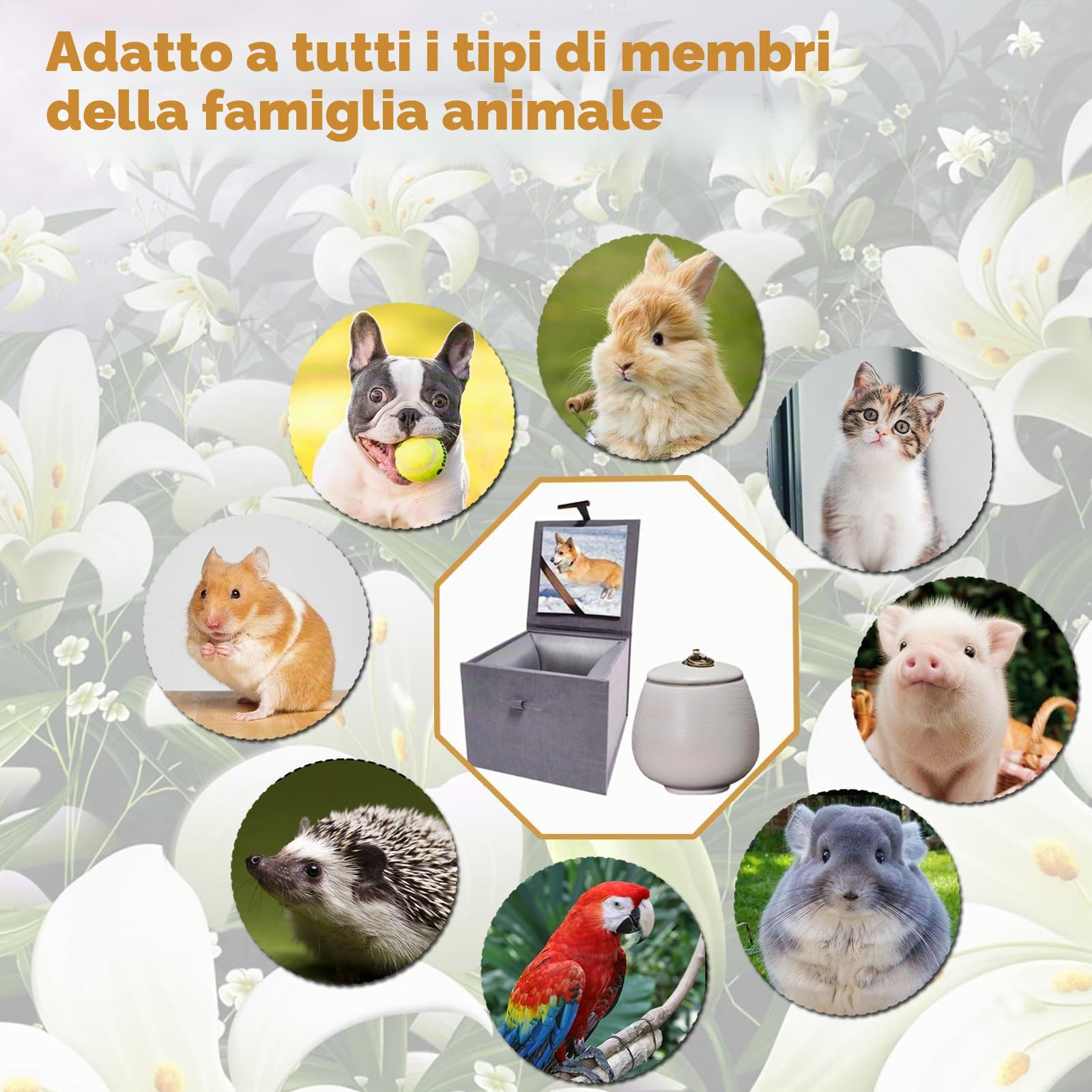 Urna per ceneri di animali domestici, in ceramica, fatta a mano, regalo commemorativo con scatola fotografica (bianco opaco, media)
