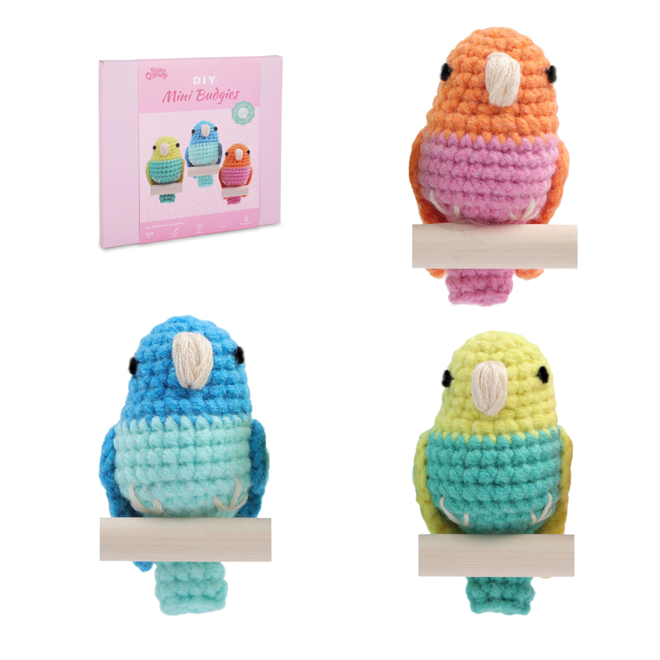 HOUSE CREATIVITY DIY-Budgies