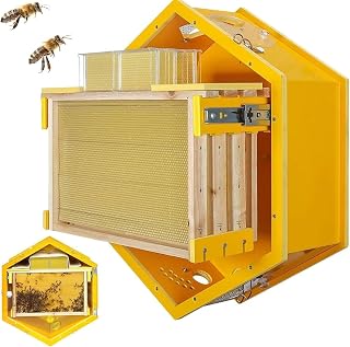 Observation Beehive Starter Kit with Acrylic Viewing Window, Wall-Mounted Hexagon Bee Hive, 3 Frames & 6 Honeycomb Trays for Indoor, Garden, Educational Beekeeping