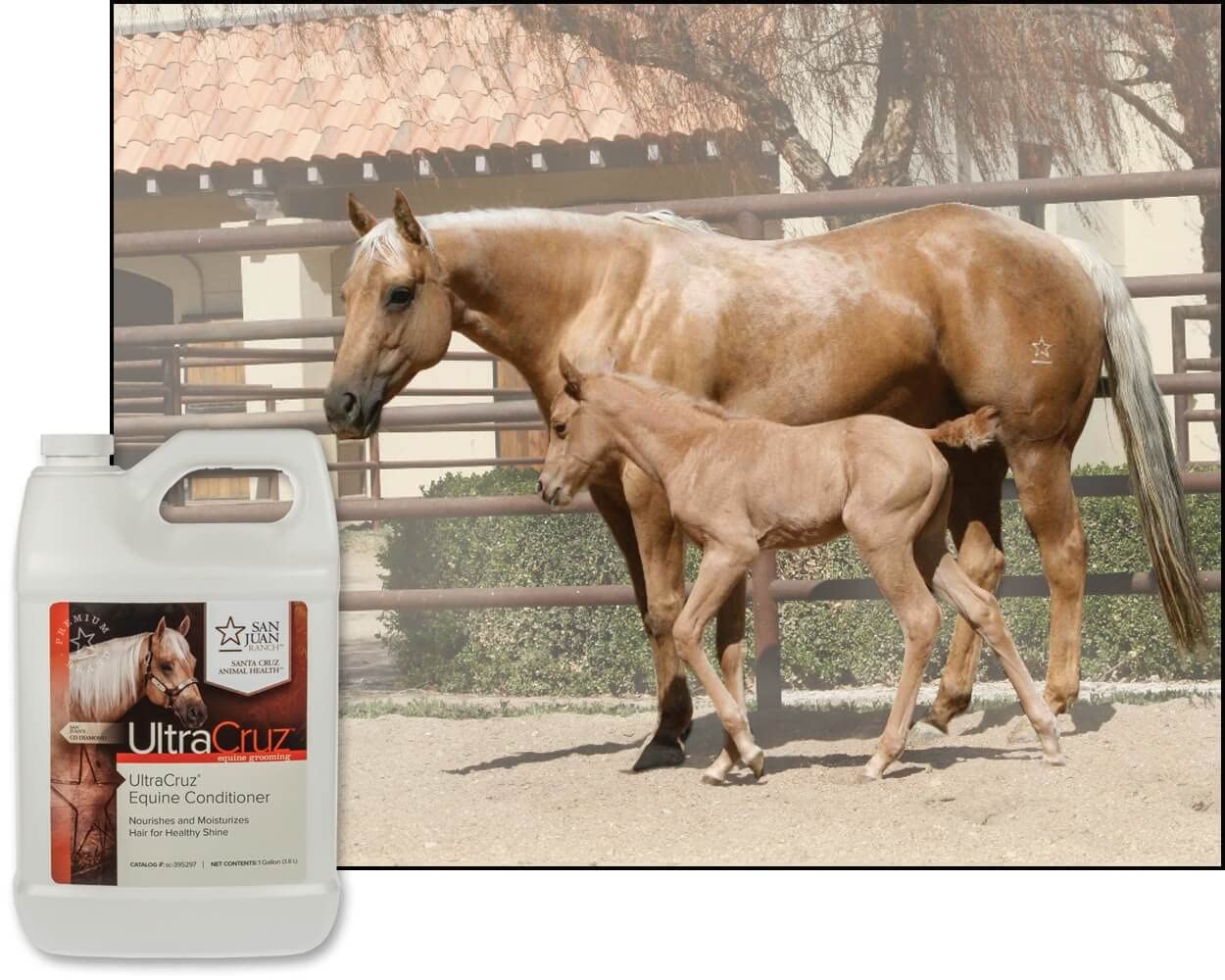 UltraCruz® Odżywka dla koni, 16 uncji