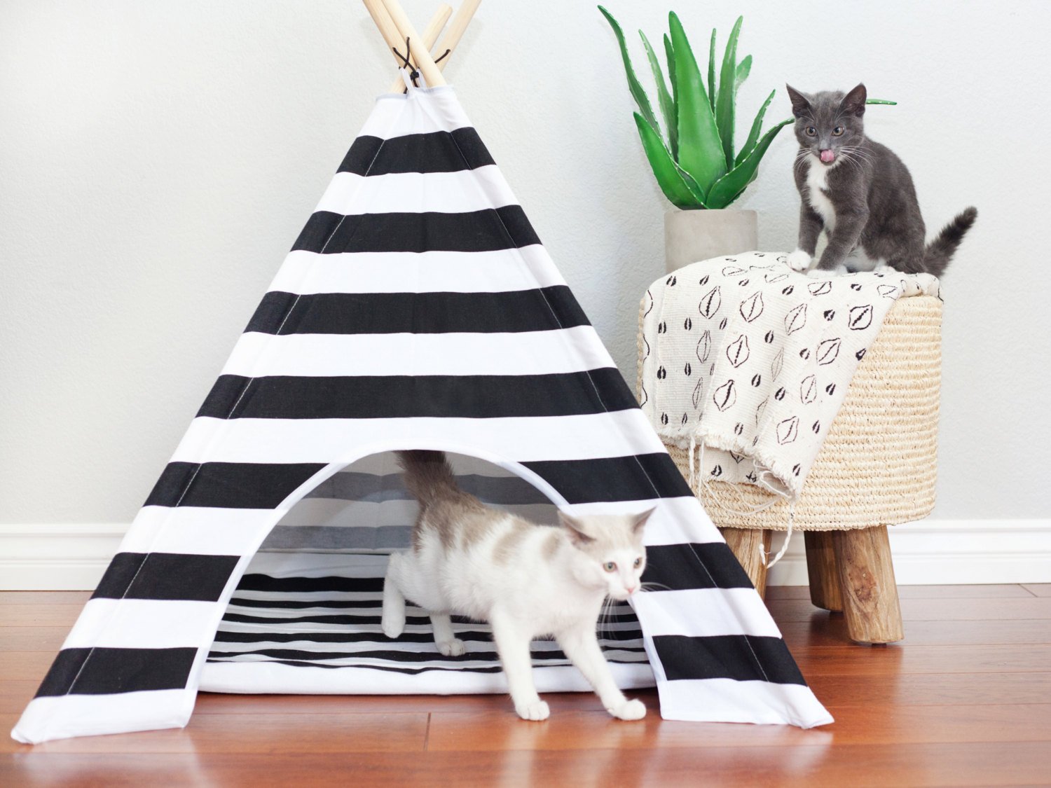 Lily&her friends - Tipi pour animal domestique fabriqué en bois et toile de coton, lit lavable pour chien et chat, tentes portables pour chien, maison pour animaux de compagnie avec coussin (L)