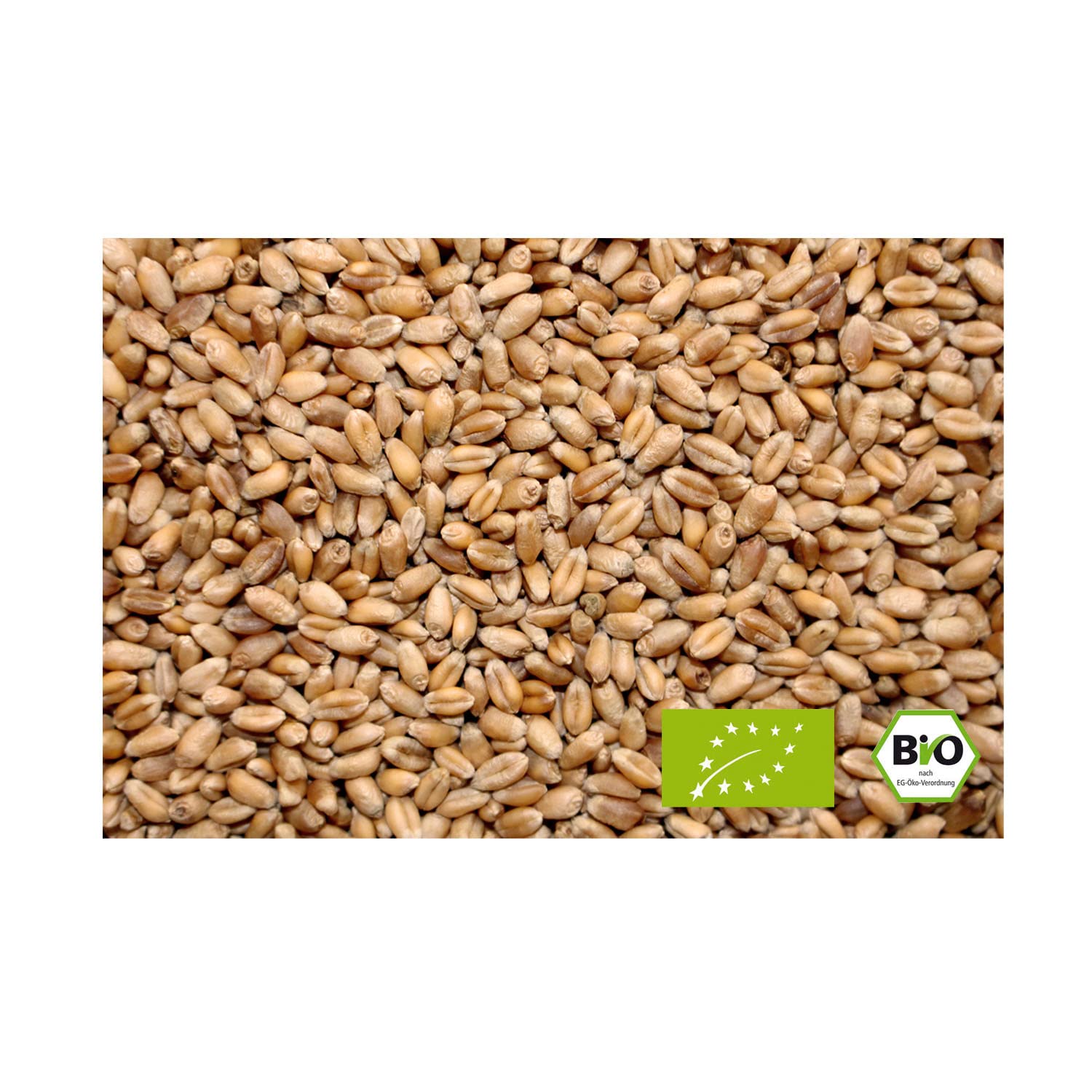 LanDixx Bio-Weizen 25kg - Landweizen aus dem Werra-Meißner Kreis - Aus kontrolliert biologischem Anbau
