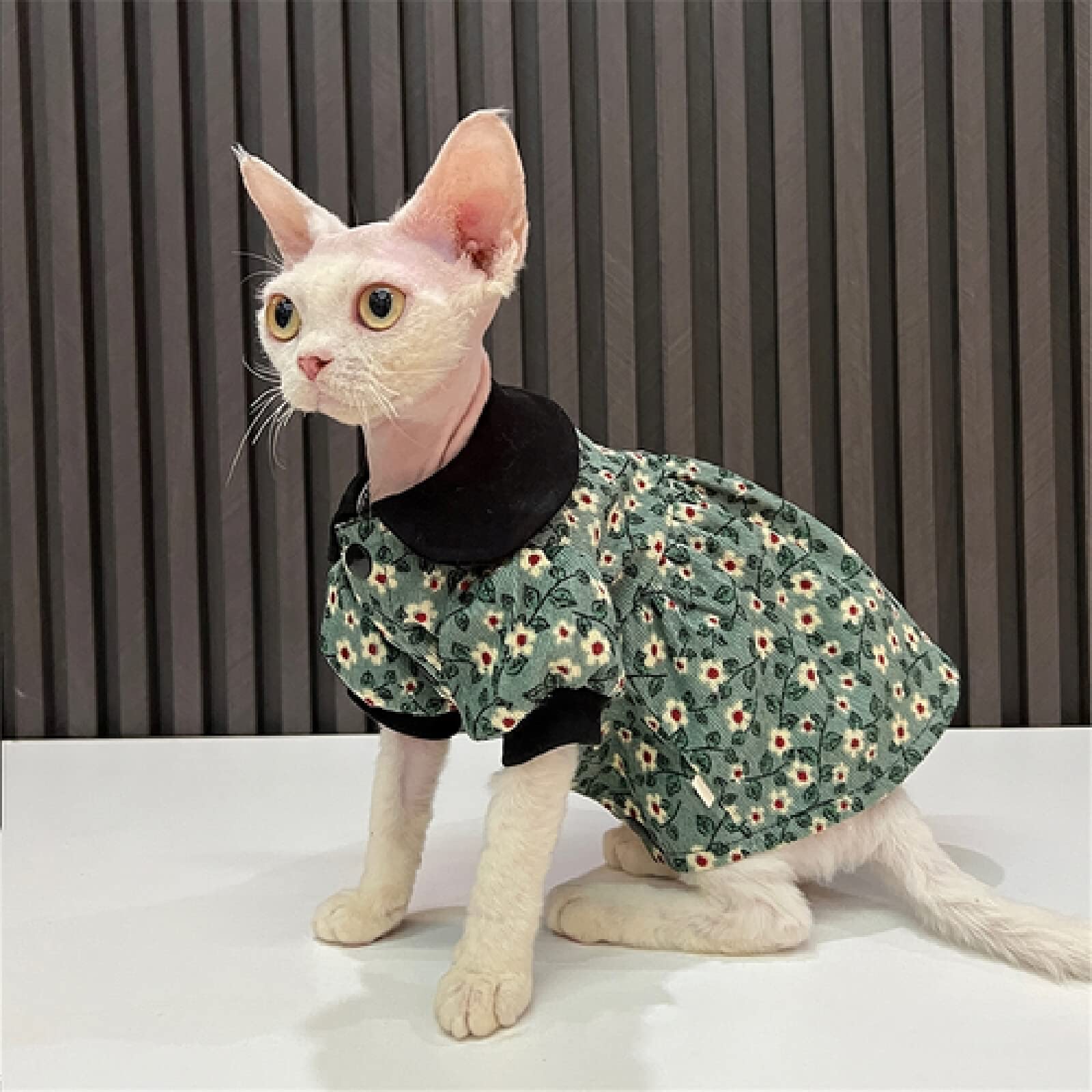 Robe de princesse pour chat sans poils Sphynx taille L vêtement canin couleur 1
