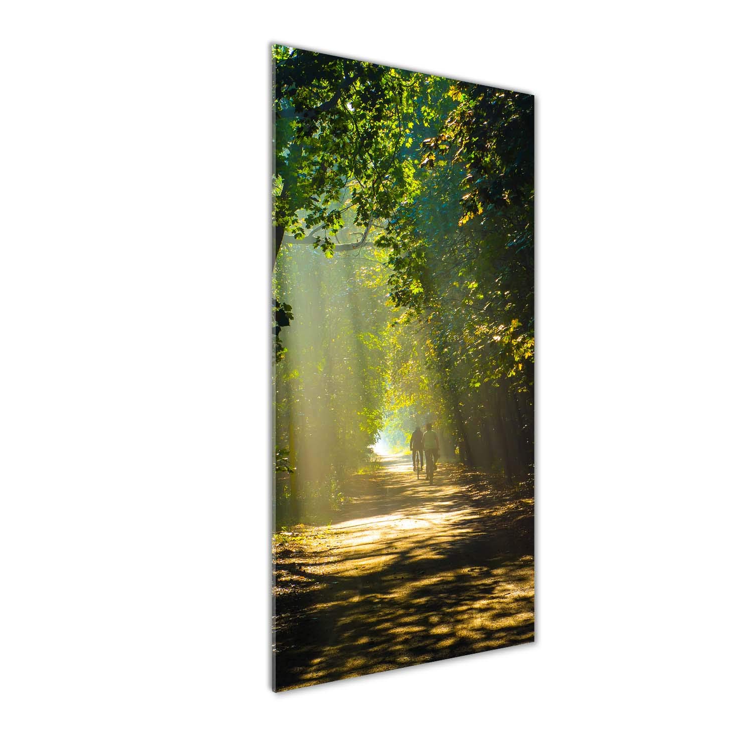 Tableaux pour la mur Tulup : impression sur verre acrylique 50x125 paysage forêt