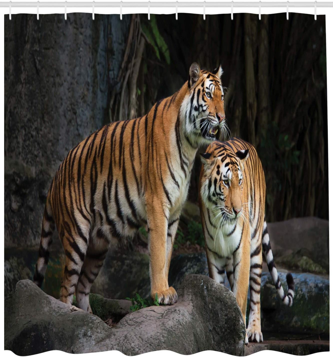 Ambesonne Animal Shower Curtain, Tiger Couple in The Jungle on Big Rocks Image Wild Cats in Nature Image Print, Cloth Fabric Bathroom Decor Set with Hooks, 69" W x 84" L, Grey and Ginger