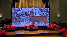 Review Image by First Baptist Church