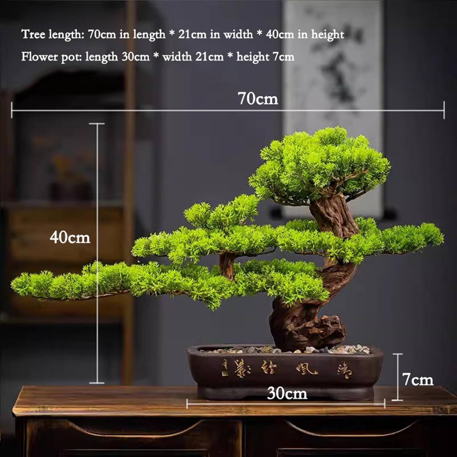 青軸野梅(一重緑萼.白花) [文人風木] 大盆栽 梅 希少 古木感抜群の幹肌