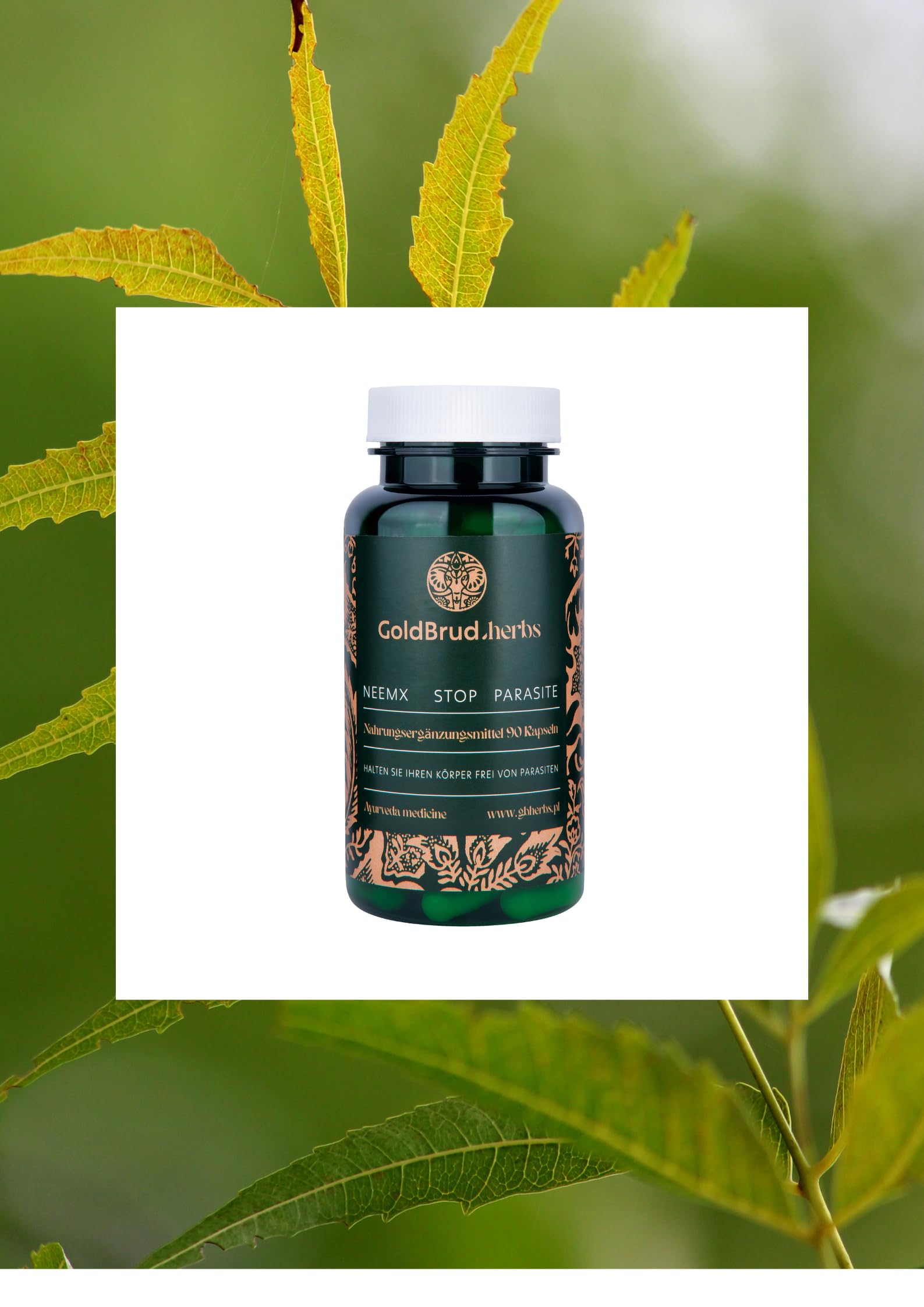 NeemX | Knoblauch, Neembaum-Frucht, Ajowan 400mg | | 90 Caps | Goldbrudherbs | Natürliche Kräuter | Keine Konservierungsstoffe | Ayurveda-Ergänzung | Antioxidans |Parasiten | Pilze | Bakterien