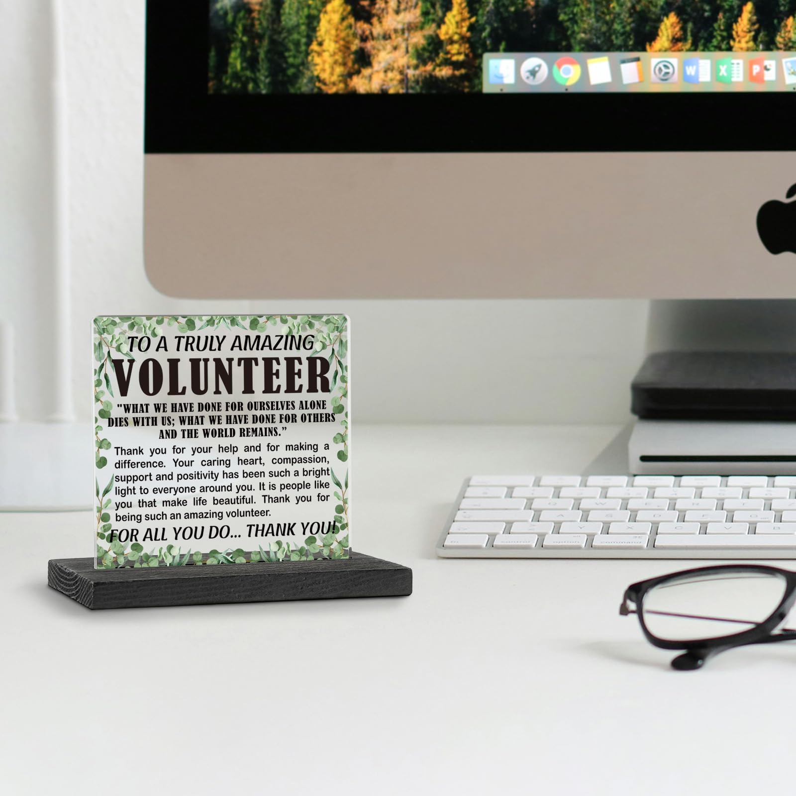 Volunteer Appreciation Gift - Acrylic Desk Sign With Wood Stand For Office Decor, Thank You Plaque