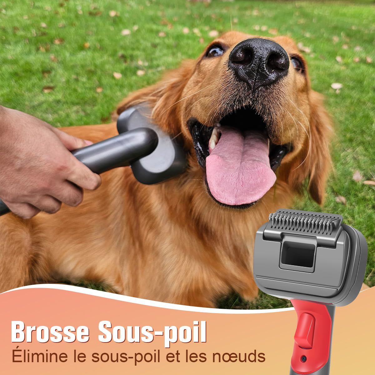 Brosse Aspirateur pour Chiens 2 en 1 Compatible avec Dyson Gen5 V15 V12 V11 V8 V7, idéale pour éliminer les poils lâches, les squames, le sous-poil et les nœuds