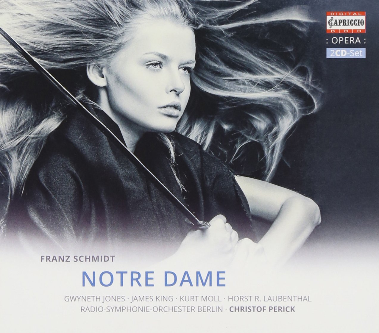 Schmidt: Notre Dame