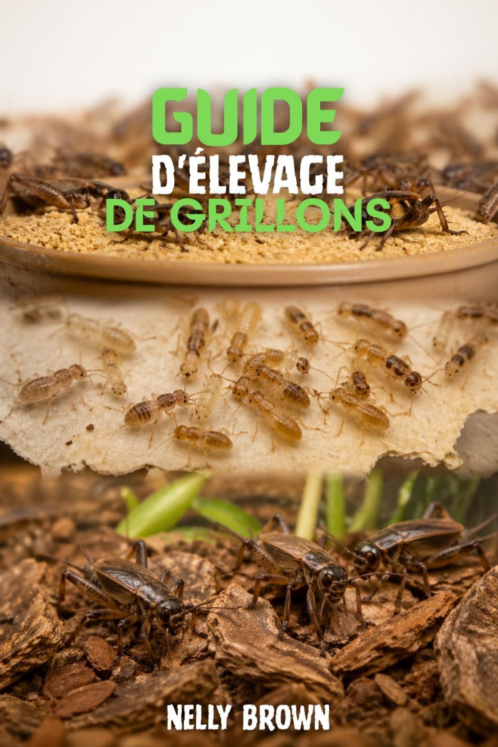 Guide D'élevage de Grillons: 7 étapes simples pour élever des grillons sains et construire une petite ferme rentable