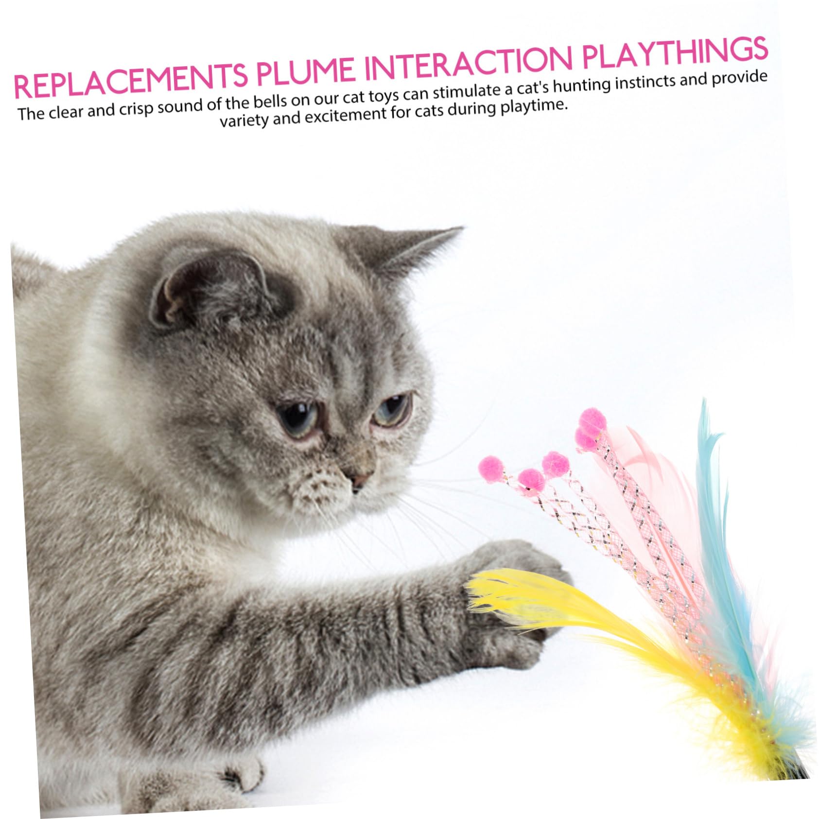 Kisangel 40pièces Jouets Plume pour Chats Canne à Interactive Remplacement De Jouets pour Chats Stimule Exercice Comportement