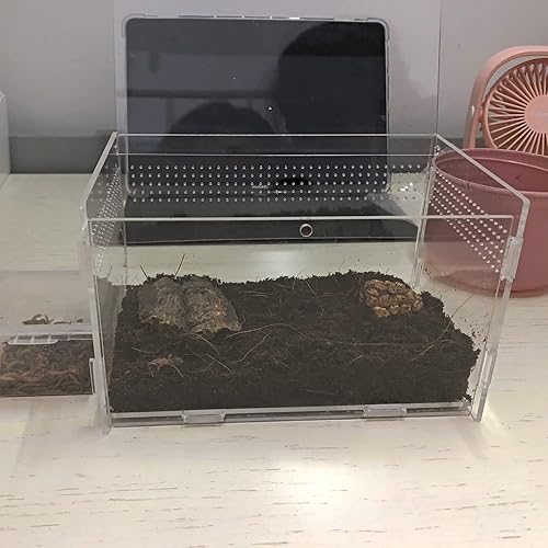 Miniatura 4 de Funda acrílica magnética, micro hábitat pequeña Tarántula, recinto para tarántula, escorpión, cabestrillo, lagartos, Mantis, serpiente, gecko,