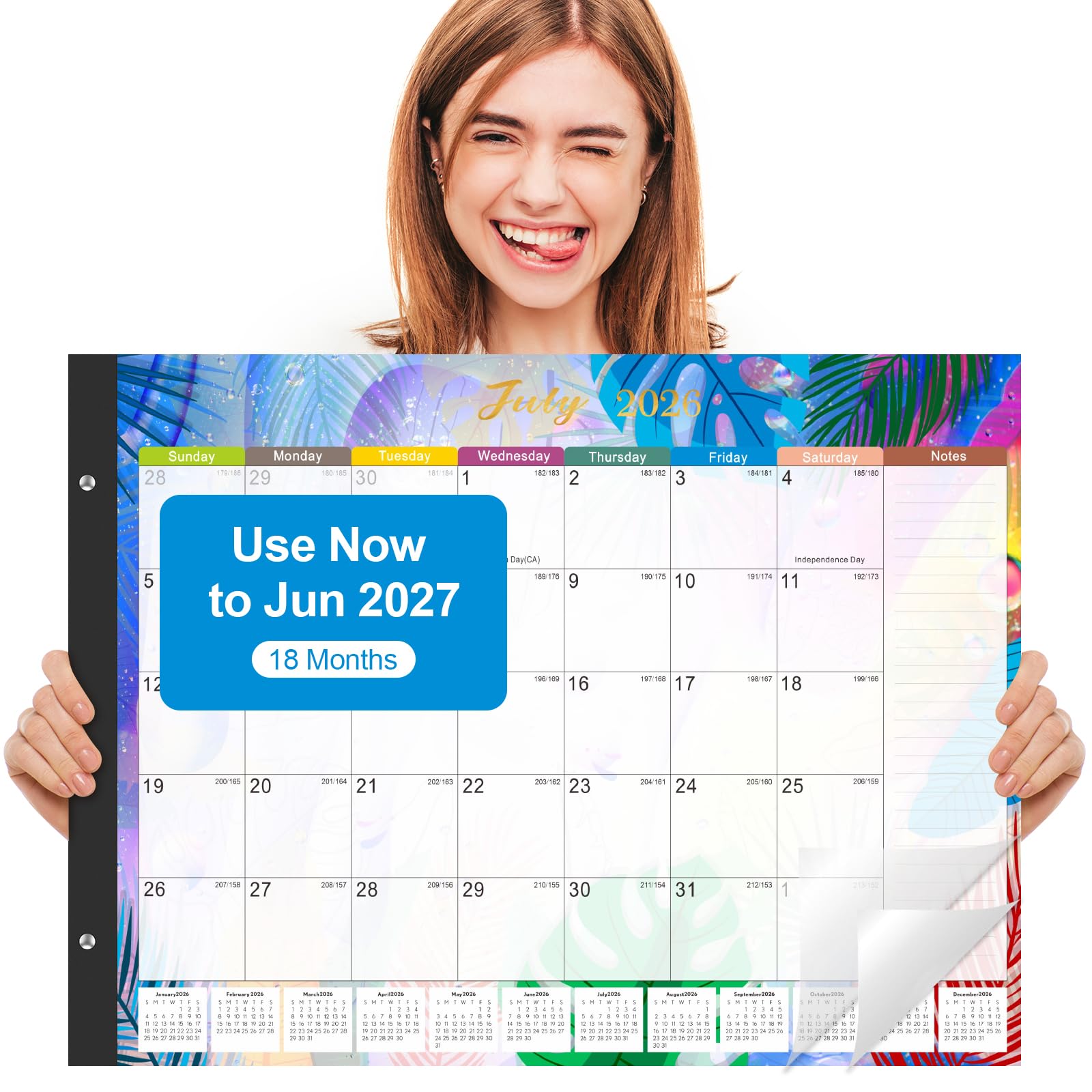 Gannyfer Calendario de escritorio grande de 2025 a 18 meses, enero de 2025 a junio de 2026, calendario de escritorio de 22 x 17 pulgadas, suministros de oficina, perfecto para planificar y organizar