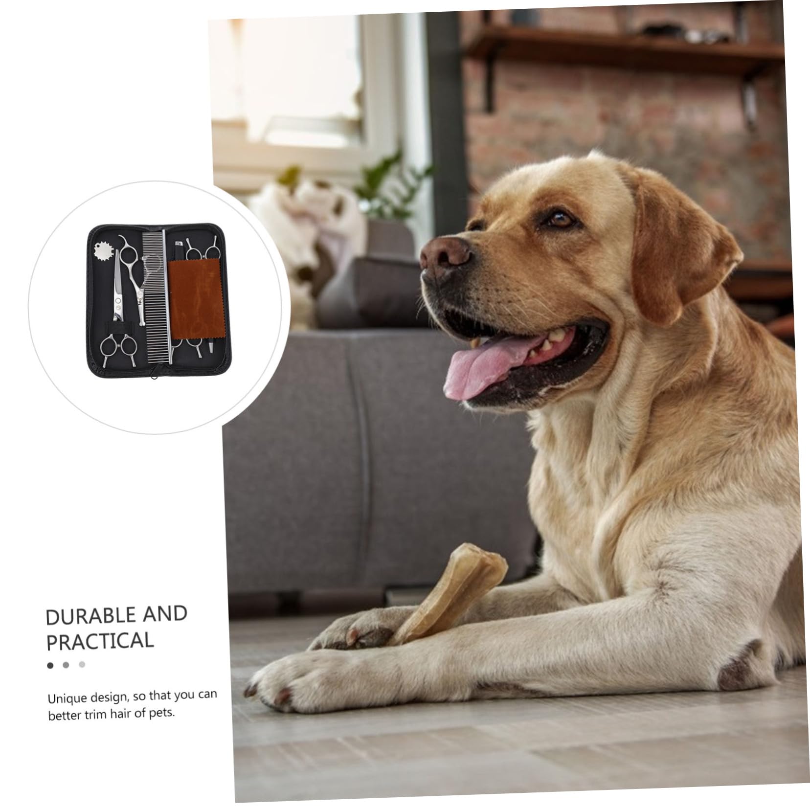 BESPORTBLE Ciseaux De Coupe Pour Animaux De Compagnie Acier Inoxydable Ciseaux De Toilettage Pour Chiens Pour Poils Animaux