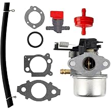 595390 Carburetor Carb Compatible with Engine 120P02 0001 F1 121P02 0001 F1