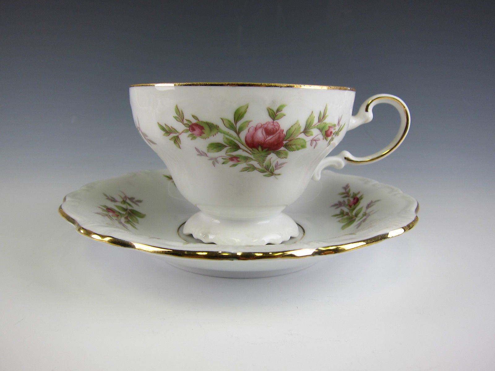 Amazon.com | Johann Haviland MOSS ROSE (Bavarian) Footed Cup