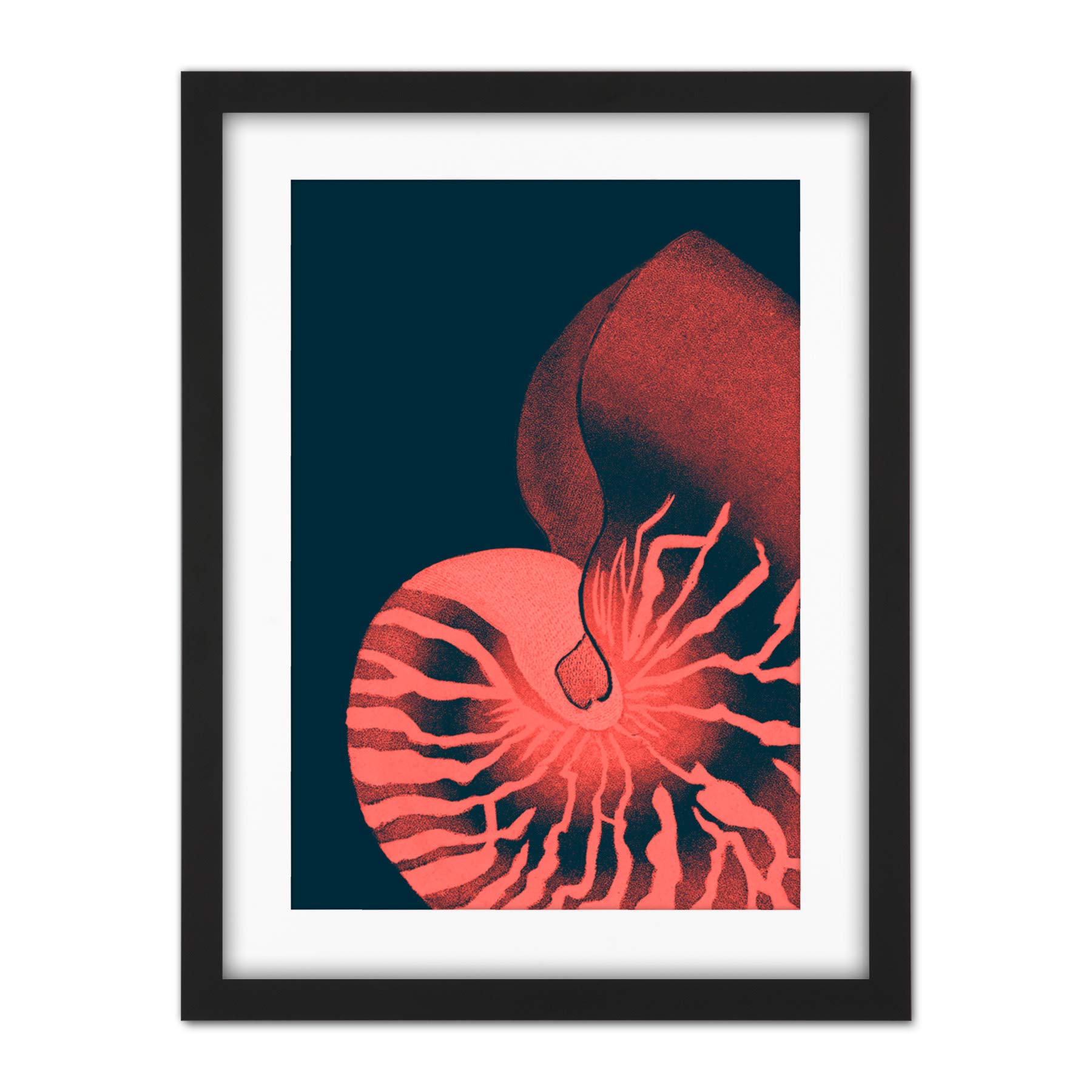 Wee Blue Coo Pink Seashell Nautilus Artwork Framed Wall Art Print 18X24 Inch