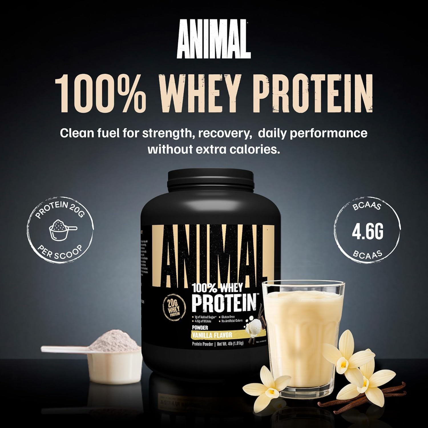 Animal 100% Whey Protein Powder – Whey Blend for Pre Workout or Post Workout, Recovery, or an Anytime Low Sugar Protein Boost Meal Replacement with BCAA Branched Chain Amino Acids – Vanilla, 4 lb - Image 2
