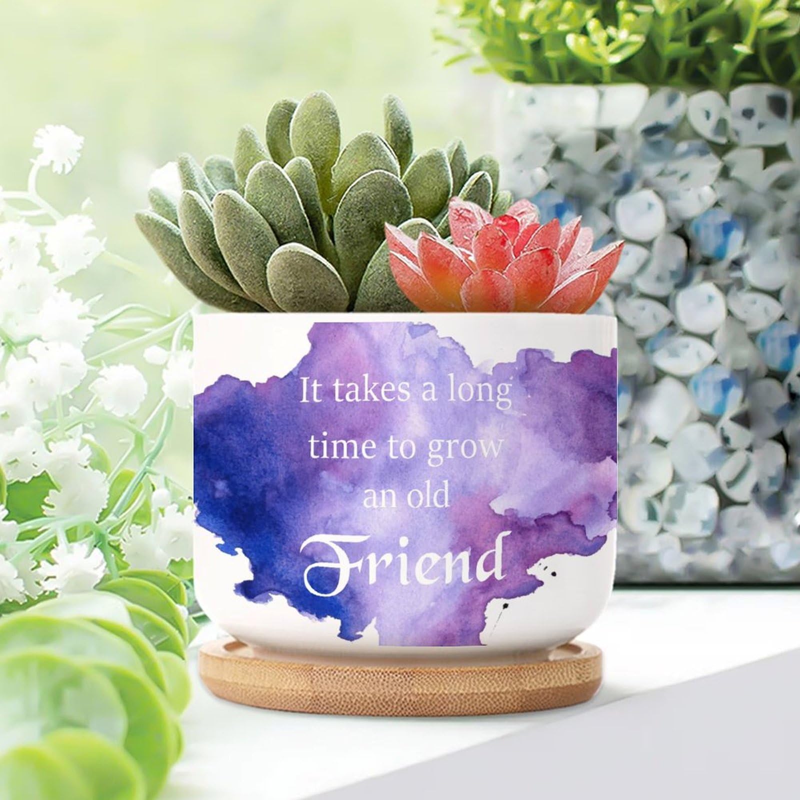 It Takes A Long Time to Grow An Old Friends Ceramic Planters Literary Quote Planters for Indoor Plants With Drainage Holes And Saucers Pot For Home Office Decoration