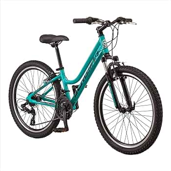 SCHWINN マウンテンバイク 71UulICPksL._UF350,350_QL50_.jpg