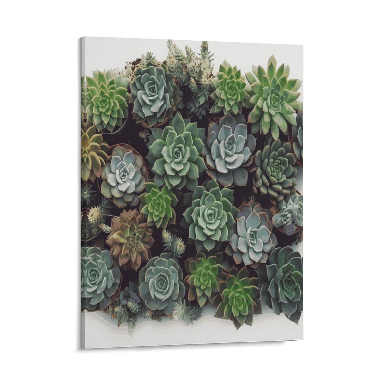 Adfgyerh Style Succulent Plants Wall Art Framed,Canvas Prints Ready To Hang Home Decor,Canvas Wall Art For Living Room Hallway Office Wall Decor 16X20inch(41X51cm)