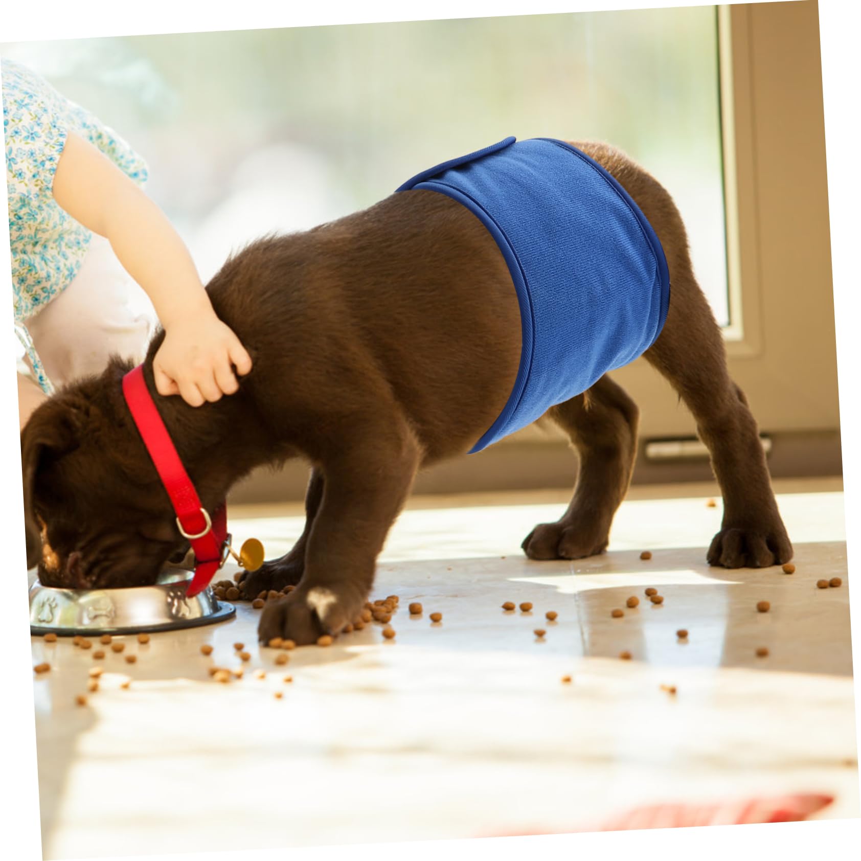 YARNOW 4piezas Pañal Reutilizable para Macho Diseño y Súper Absorbente y Transpirable para Cachorros y Mayores Previene Filtraciones El