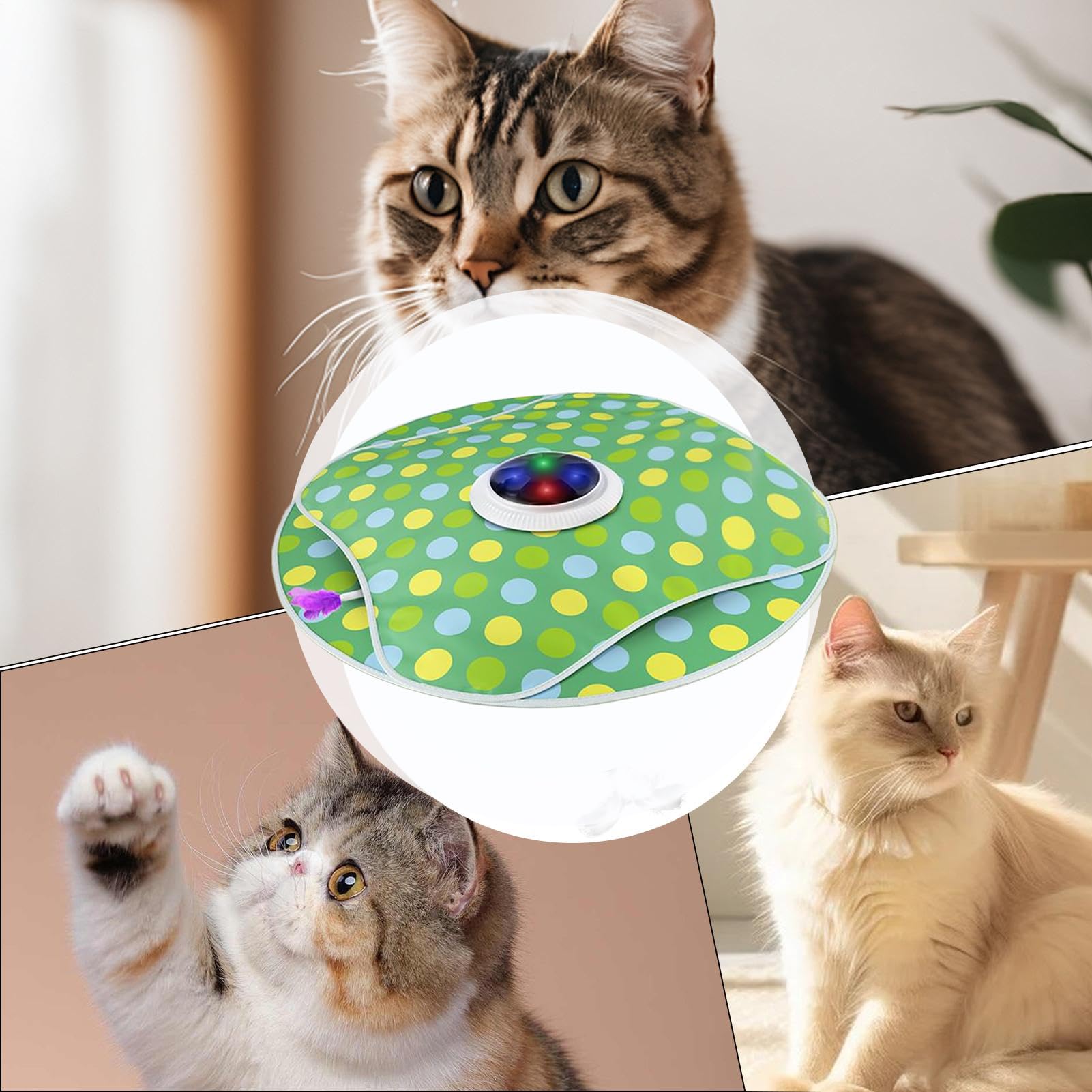 pour Chats Interactifs Activité Intelligente en Mouvement avec Design De