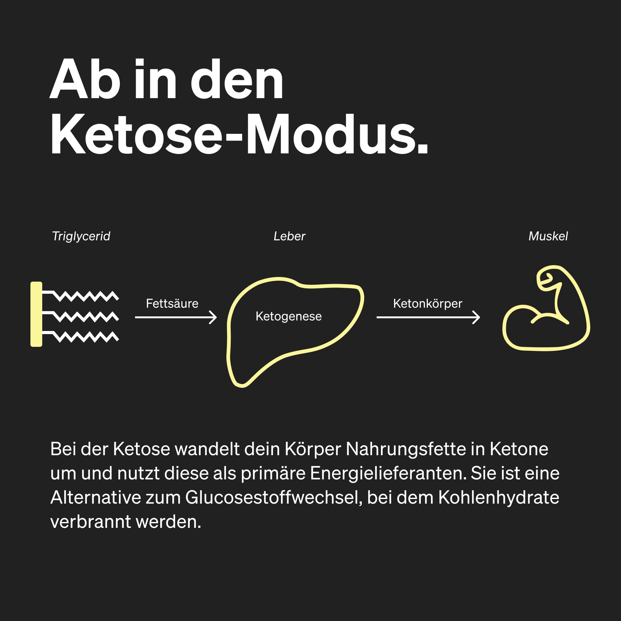 natural elements MCT-Öl C8 – 500ml für deine Keto-Diät – 100% Kokosöl – für ketogene Ernährung – geschmacks- und geruchsneutral – vegan, ohne unnötige Zusätze – exogene Ketone – laborgeprüfte Qualität