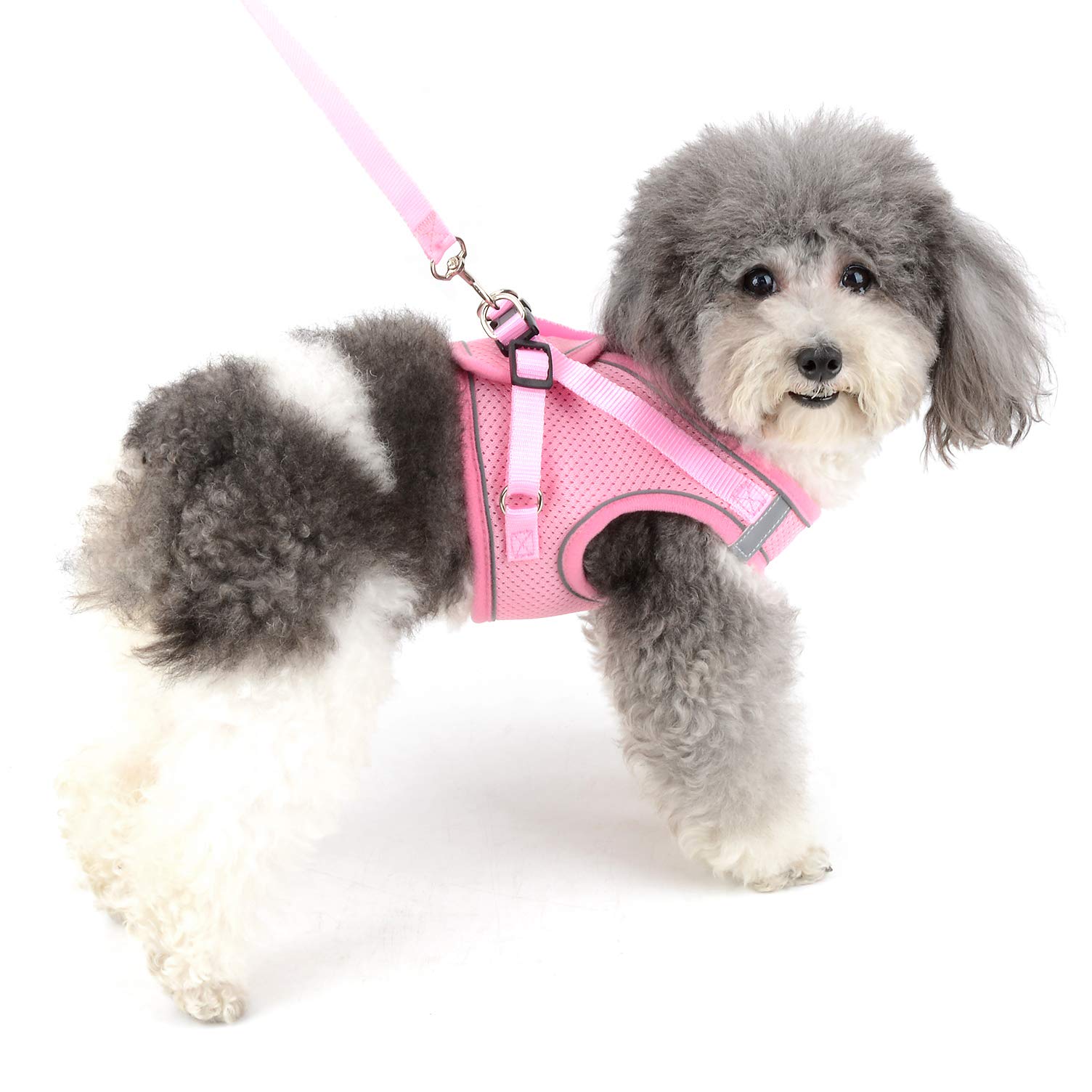 Ranphy Escape Proof Small Dog Harness and Lead Set Adjustable Puppy Cat Step in Mesh Vest No Pull 3M Reflective Solid Color Soft Breathable Pet Harnesses for Walking Outdoor Training Pink L