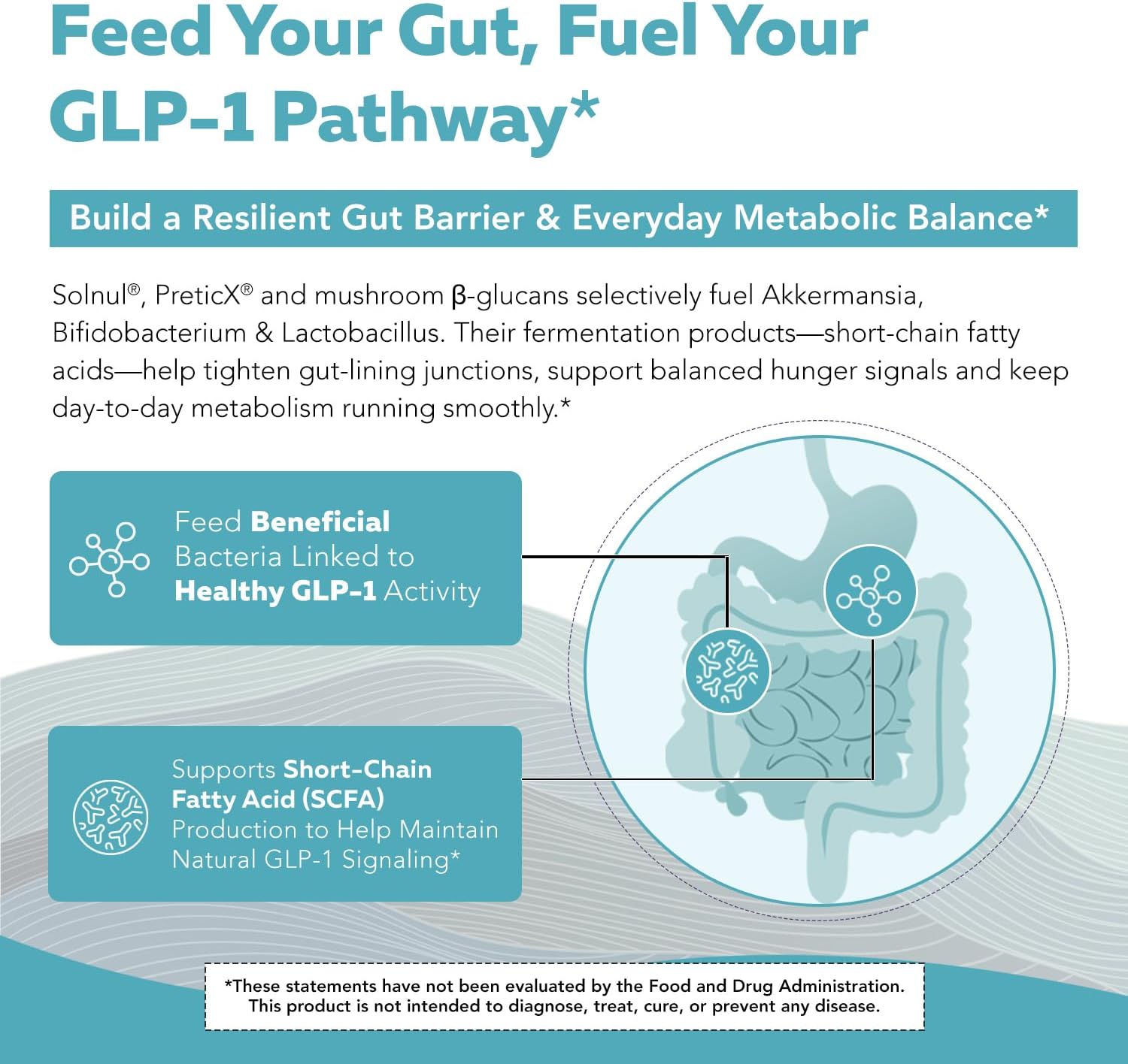 GLP-Pre™ – Optimized Prebiotic Fiber Complex - Gut-Microbiome Optimization for Natural GLP-1 Pathway Support & Metabolic Wellness - Includes Clinically Studied Non-Digestible Fibers - 30 Servings - Image 5