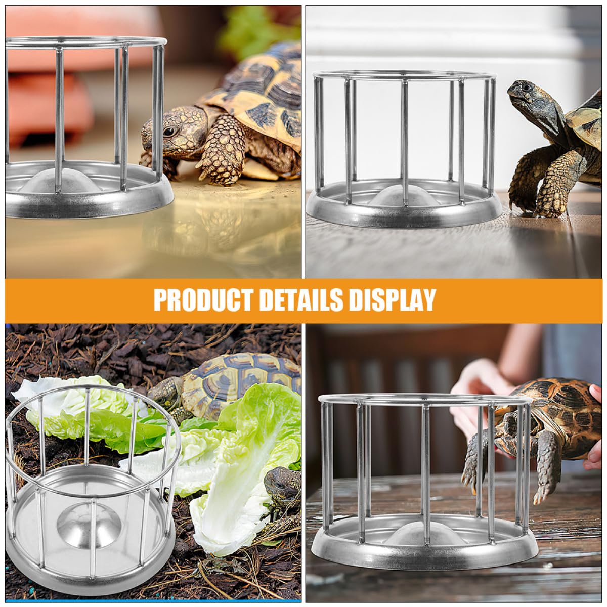 Artibetter Gamelle Surface Lisse Acier Inoxydable Argenté Terrarium en pour Mangeoire Reptile Adaptée pour Nourriture Tortue Terrestre et Animaux de Compagnie