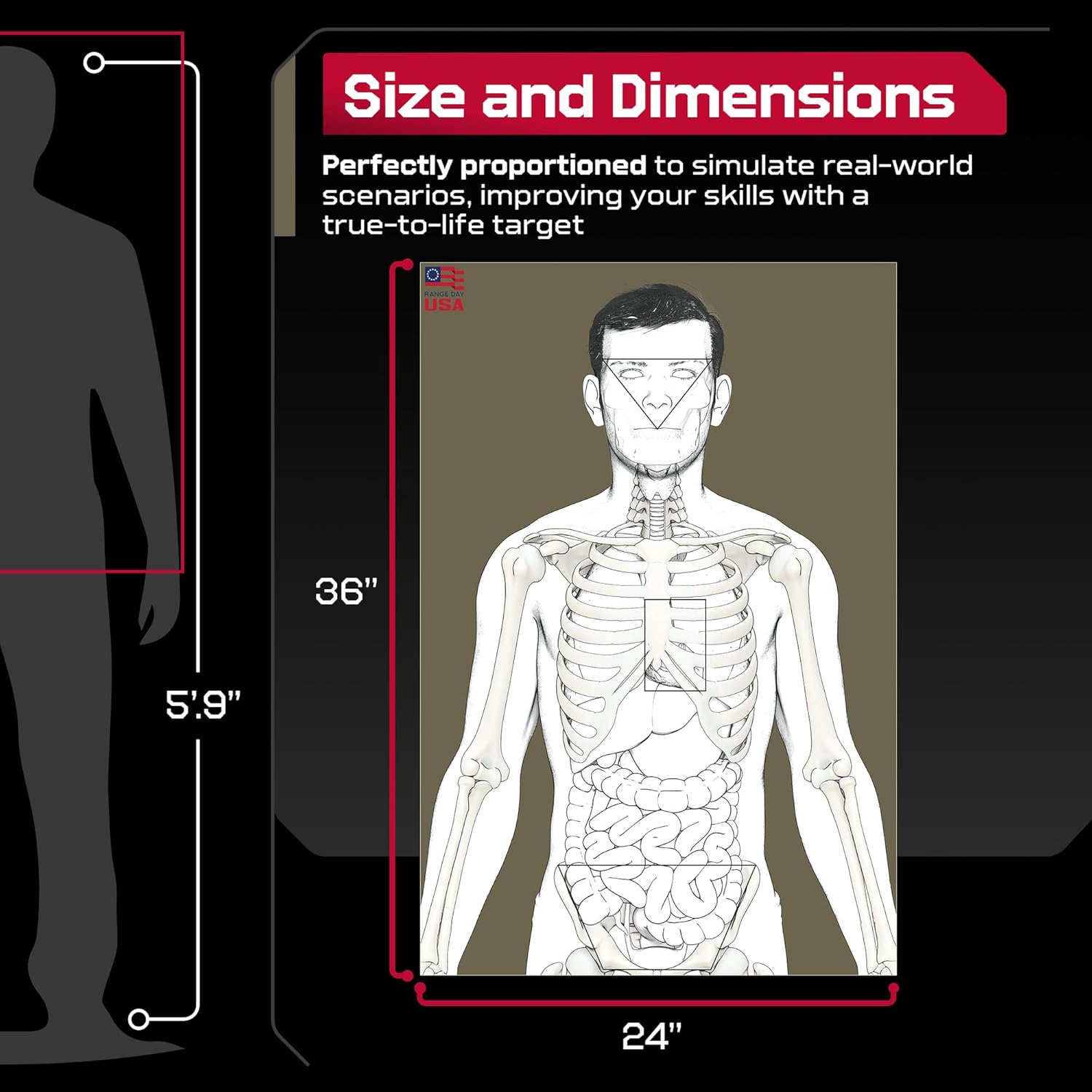 25 Anatomic Life Size Silhouette Targets for Shooting Range, Firearm Target for Pistol, Rifle, Pellet, BB, Airsoft, and Handguns, 80 lb. Gloss Paper, 24” x 36”