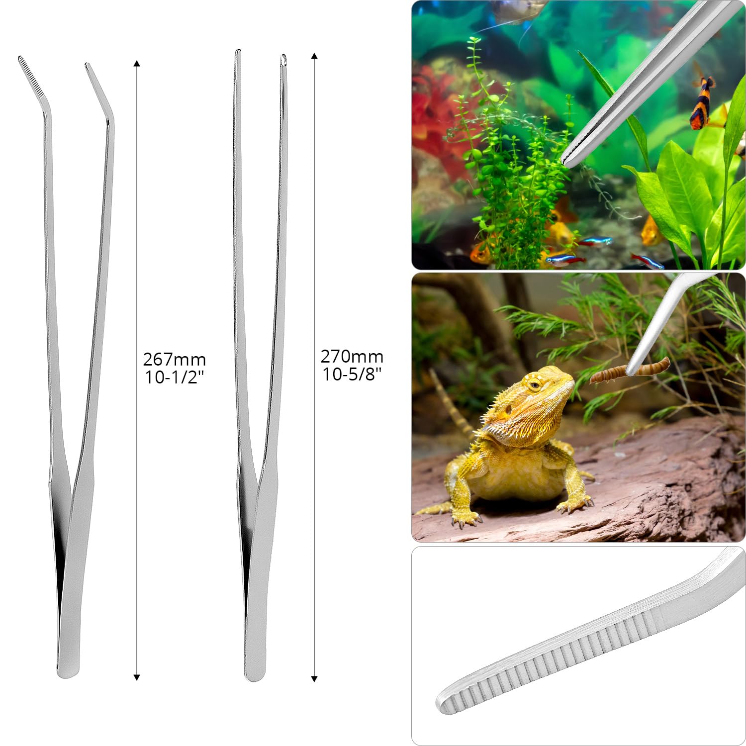 QWORK® 4 in 1 Acquari Attrezzi, Pulizia per acquari Set, Forbici, pinzette e spatola in Acciaio Inossidabile Kit