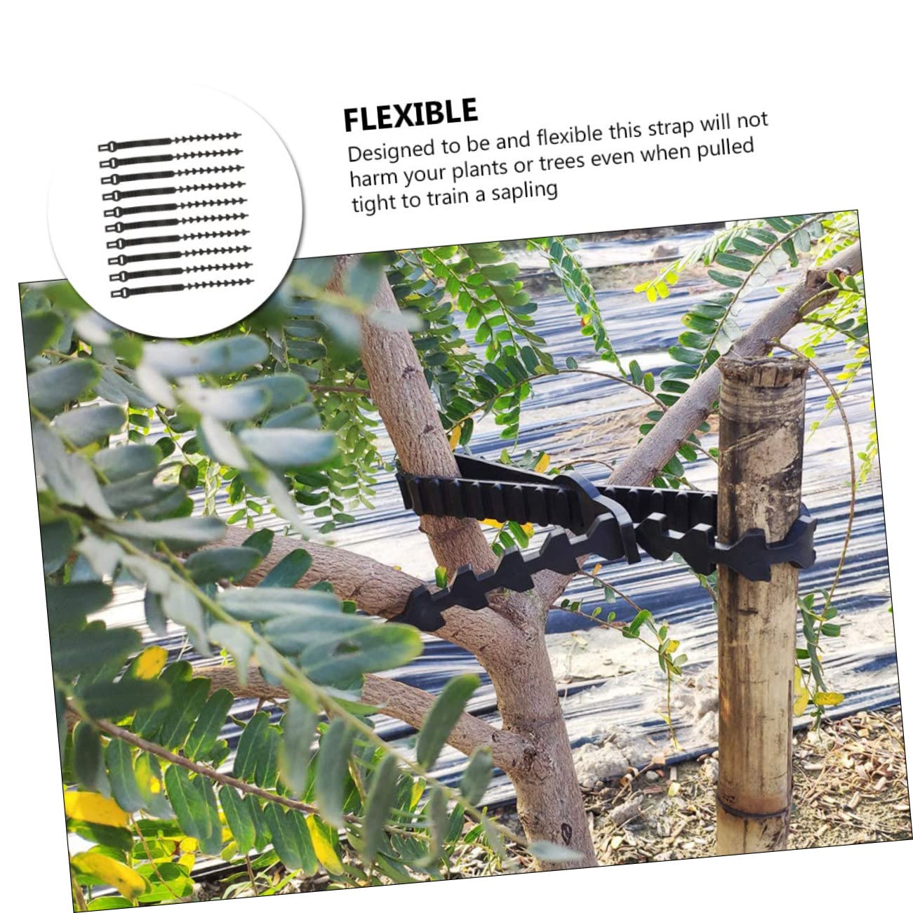 Abaodam Liens pour Plantes D'arbres 10 Pièces en Caoutchouc Noir, Flexible