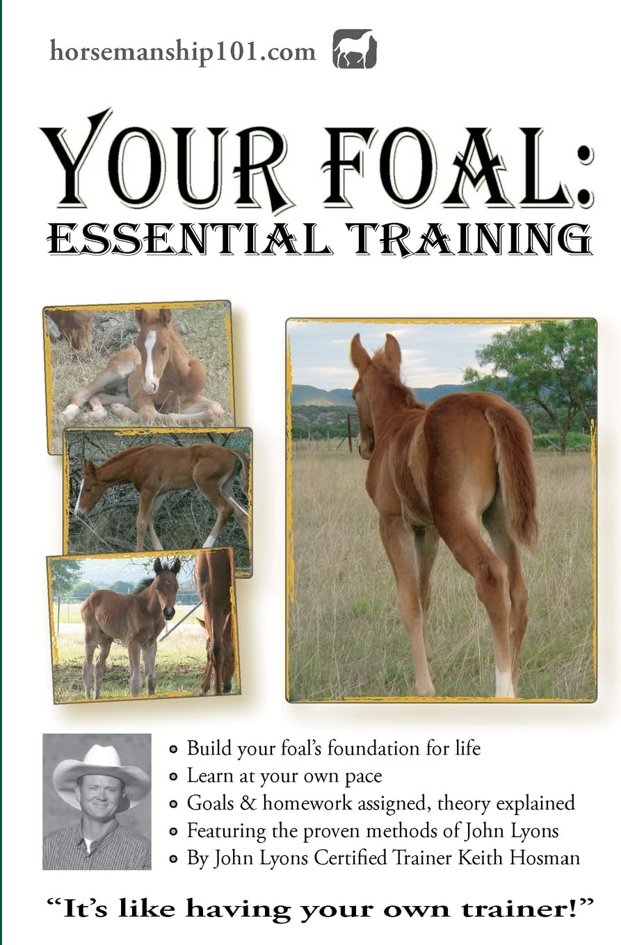 Your Foal: Essential Training (Horse Training How-To)
