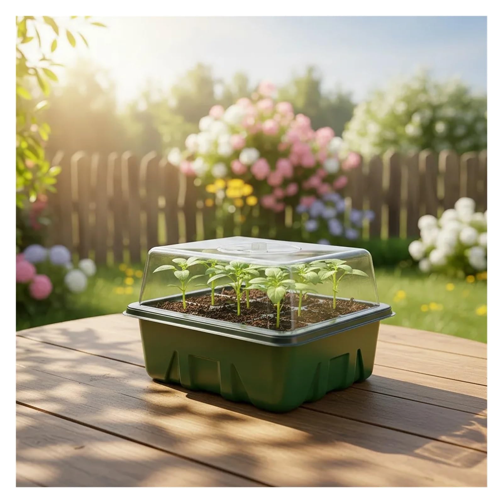 Plaque Semis Plateau de démarrage de graines, Kits de semis, Kit de démarrage de Plantes avec dôme d'humidité et Base, Mini propagateur de Serre intérieure, 5/10 Paquets(10Pack Green)