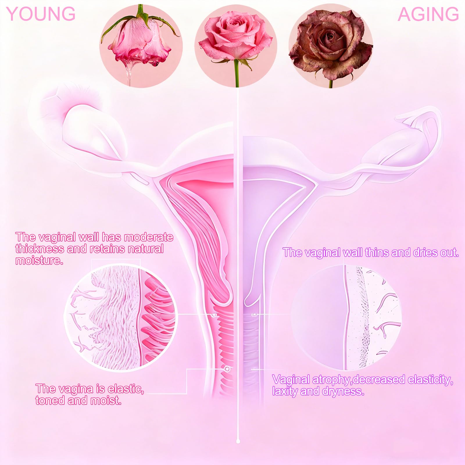 Vaginal Moisturizing Gel for Women | Long-Lasting Relief for Dryness,pH Balance Support & Freshness (12-Pack)