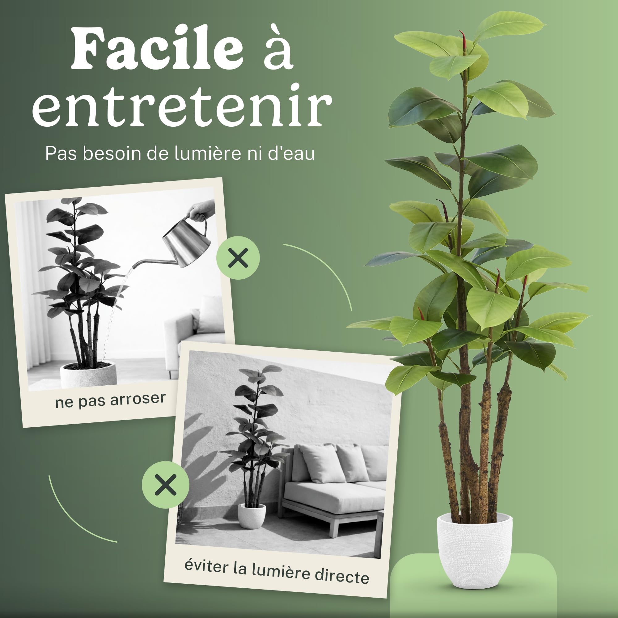 Maia Shop Ficus Elastica Artificiel 180 cm - Faux Arbre d'Intérieur