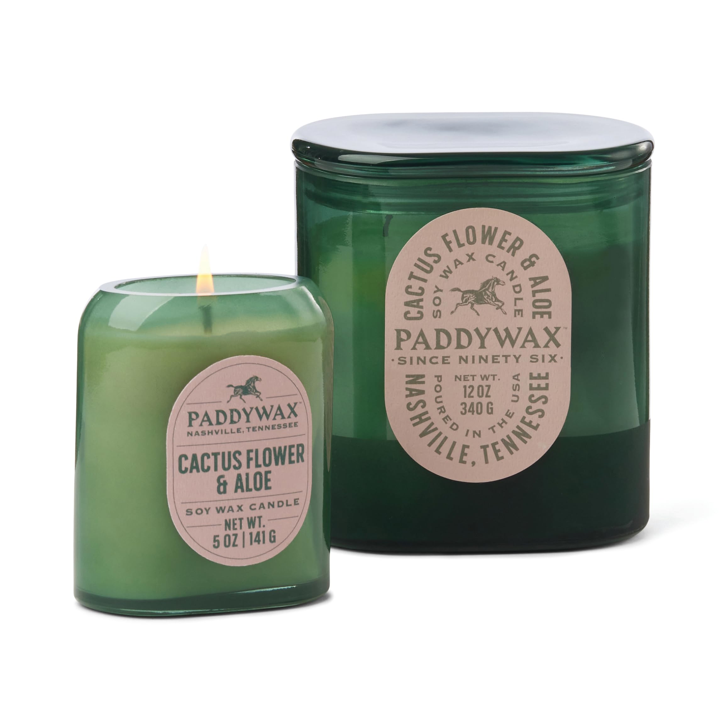 Paddywax Scented Candles Vista Collection Vintage Style Artisan Candle in Frosted Glass, 340g, Cactus Flower & Aloe - Image 2